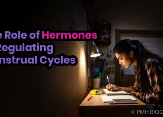 The Role of Hermones in Regulating Menstrual Cycles